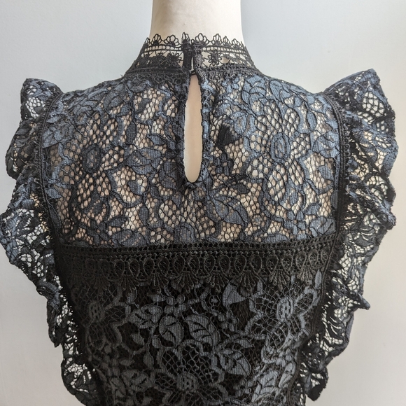 EUC...Beautiful Zara Guipure Lace Dress (with whimsy/goth vibes)  Size Small - Picture 9 of 13